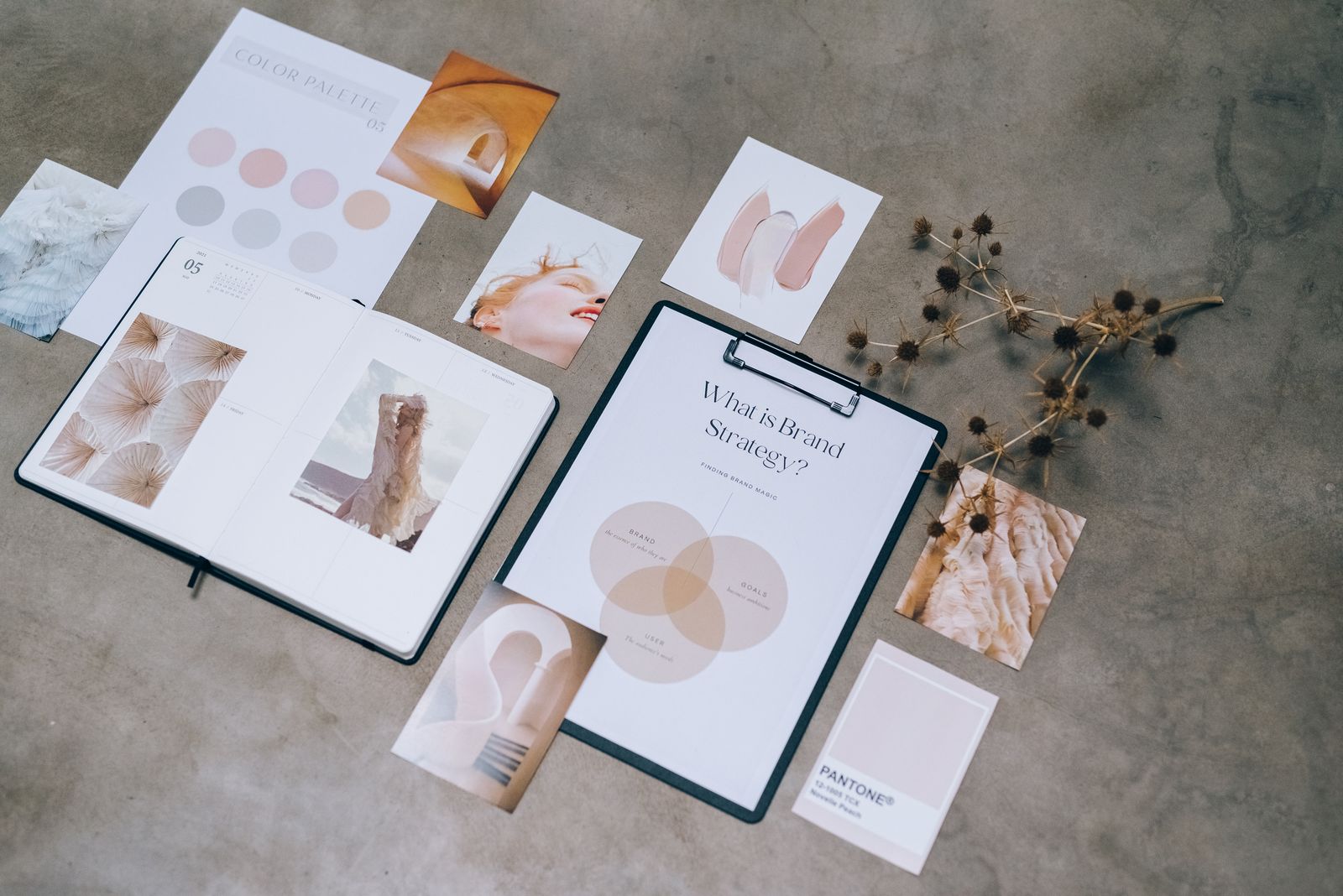 Field Notes Studio — Identity & Website